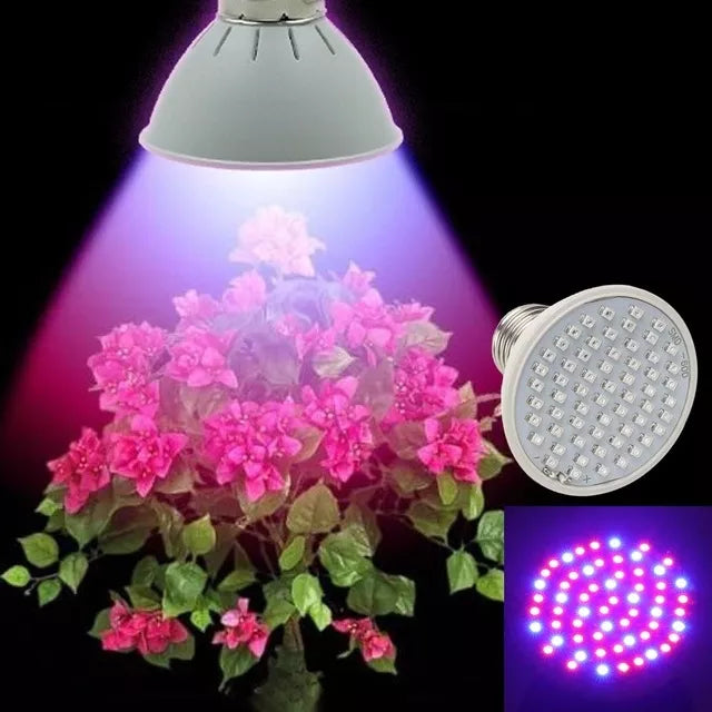 5W lampa na pestovanie rastlín