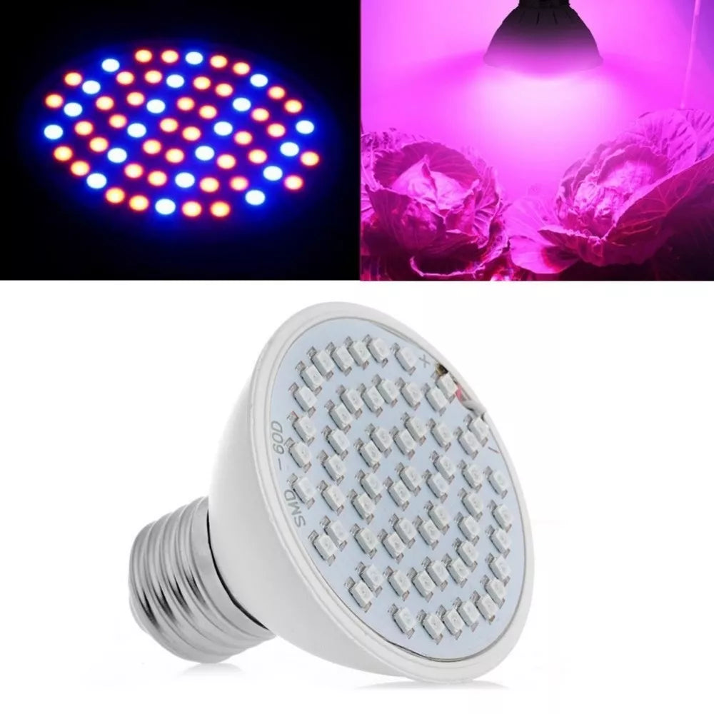 5W lampa na pestovanie rastlín