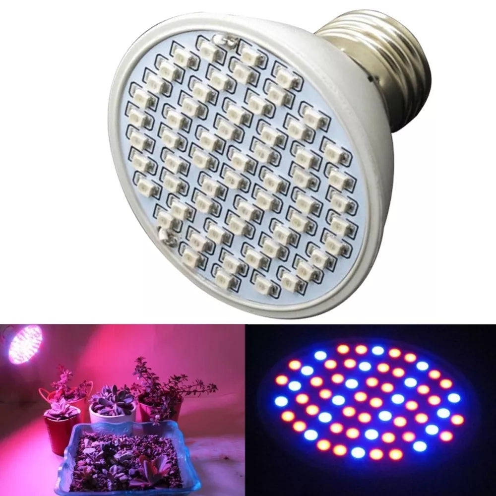 5W lampa na pestovanie rastlín