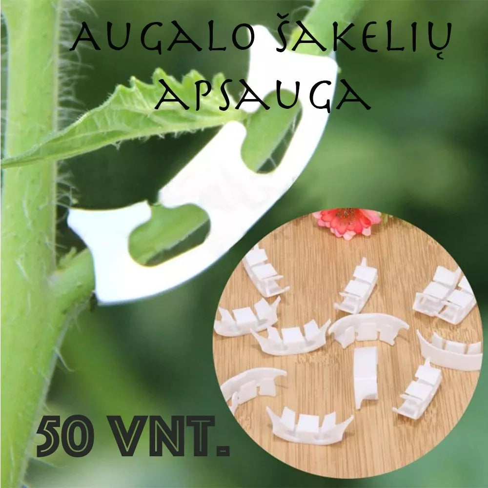 Držiaky na rastlinné vetvičky 50 ks.