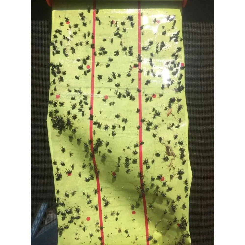 Lepivá pasca na hmyz (rolka) 25 cm x 4 m