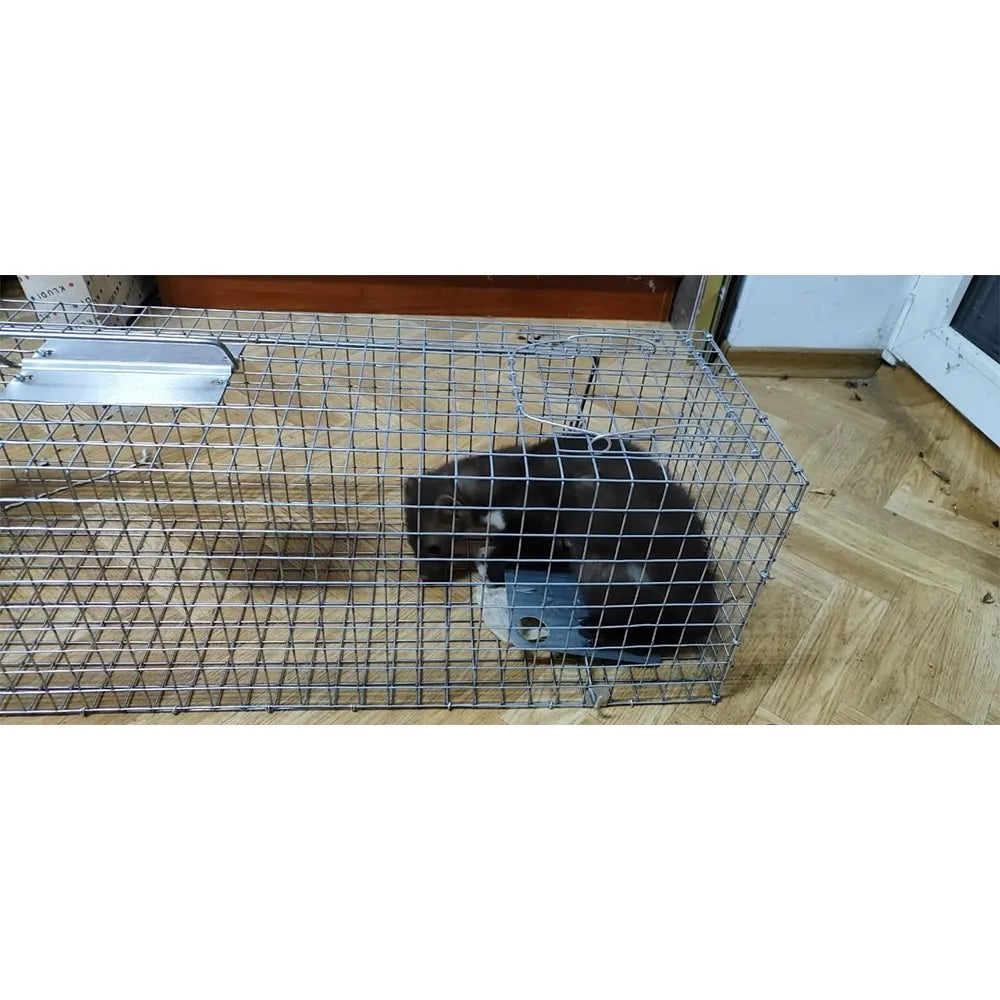 Pasca na norky 82X20X27