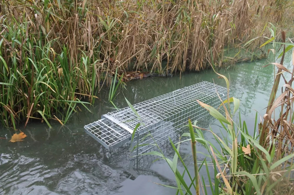 Narvy, pasce, lapač s kamerou na návnadu