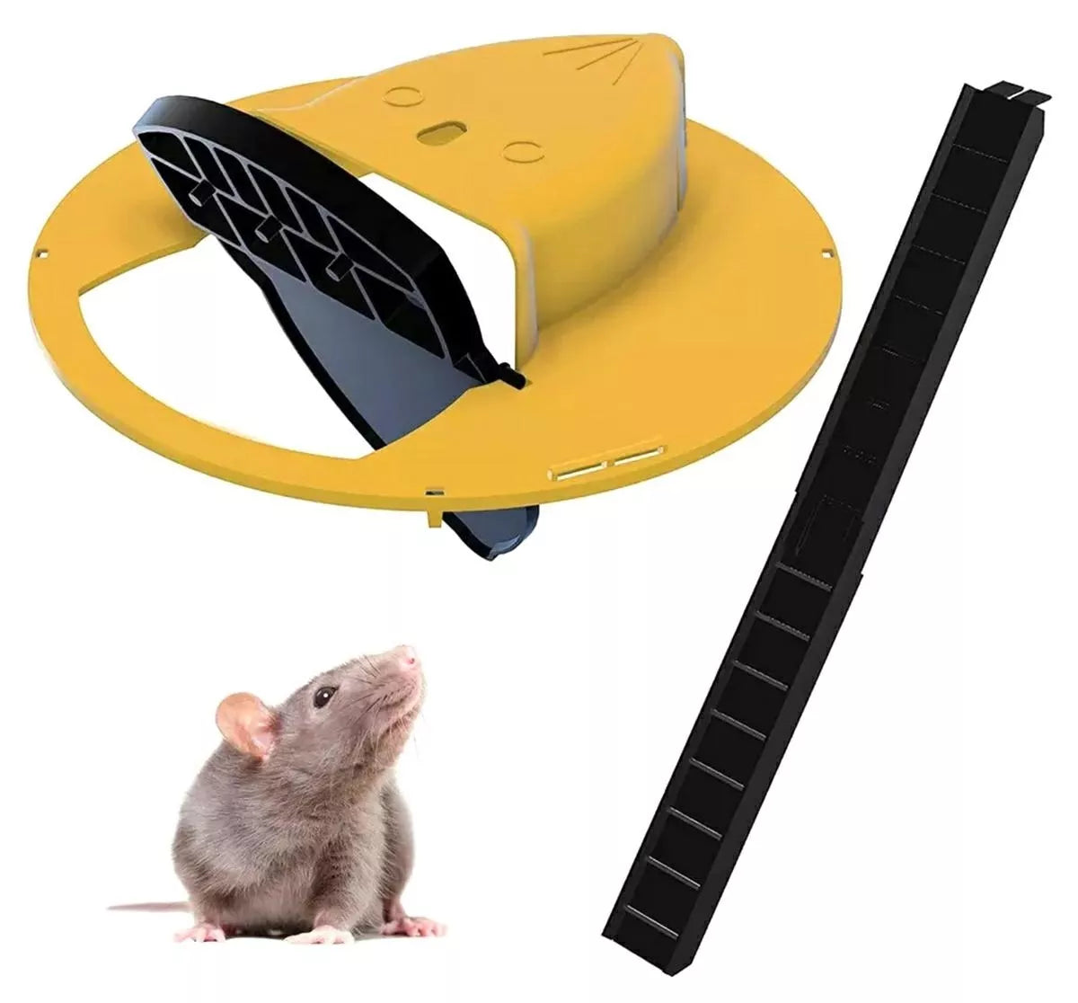 Pasce na myši